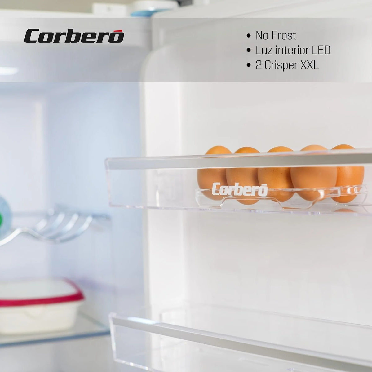 Corberó - Lodówka Jednodrzwiowa | CCLH18524NFW | 65x59,5x185 | Pojemność 359L | No Frost | Wyświetlacz na Drzwiach | Oświetlenie LED | 2 Szuflady XXL na Warzywa | Fresh Box | 4 Półki na Butelki | Uchwyt Easy Open | 40 Db | Inox
