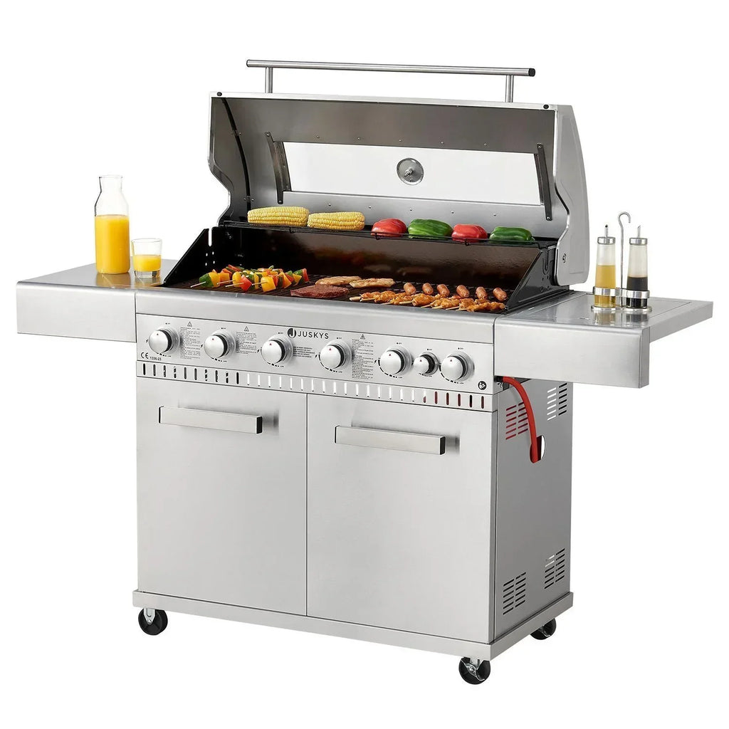 2026 Barbacoa gazowa Minnesota