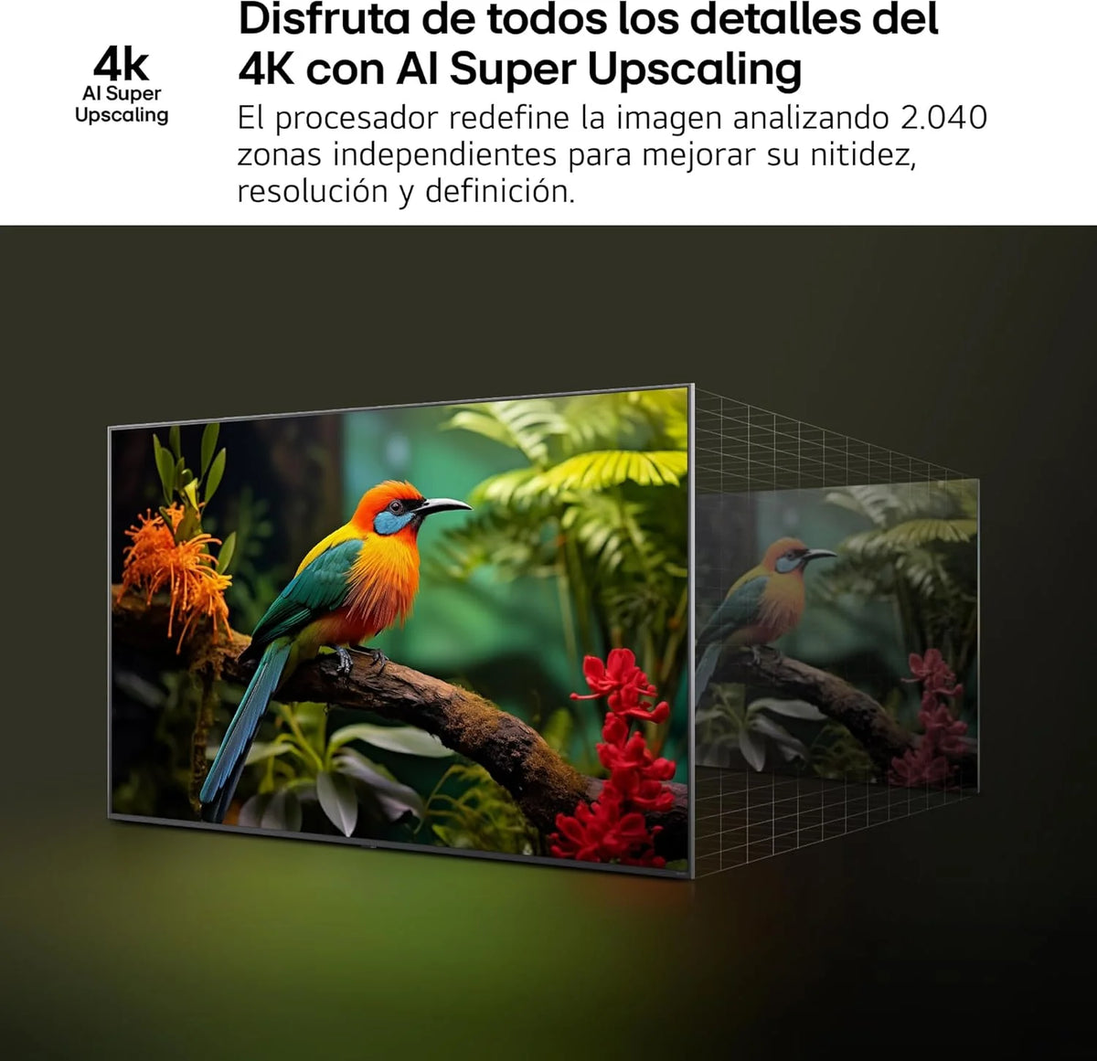 50UA73006LA - Telewizor 50", UHD 4K, WebOS 25, Ultimate IA, HDR10 Pro, Super Upscaling, Dolby Digital Plus, Google Assistant, Czarny