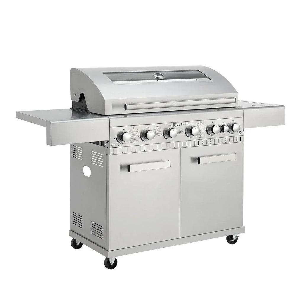 2026 Barbacoa gazowa Minnesota